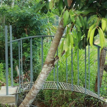 Ayurnest Pool Resort Wayanad Batheri Exterior photo