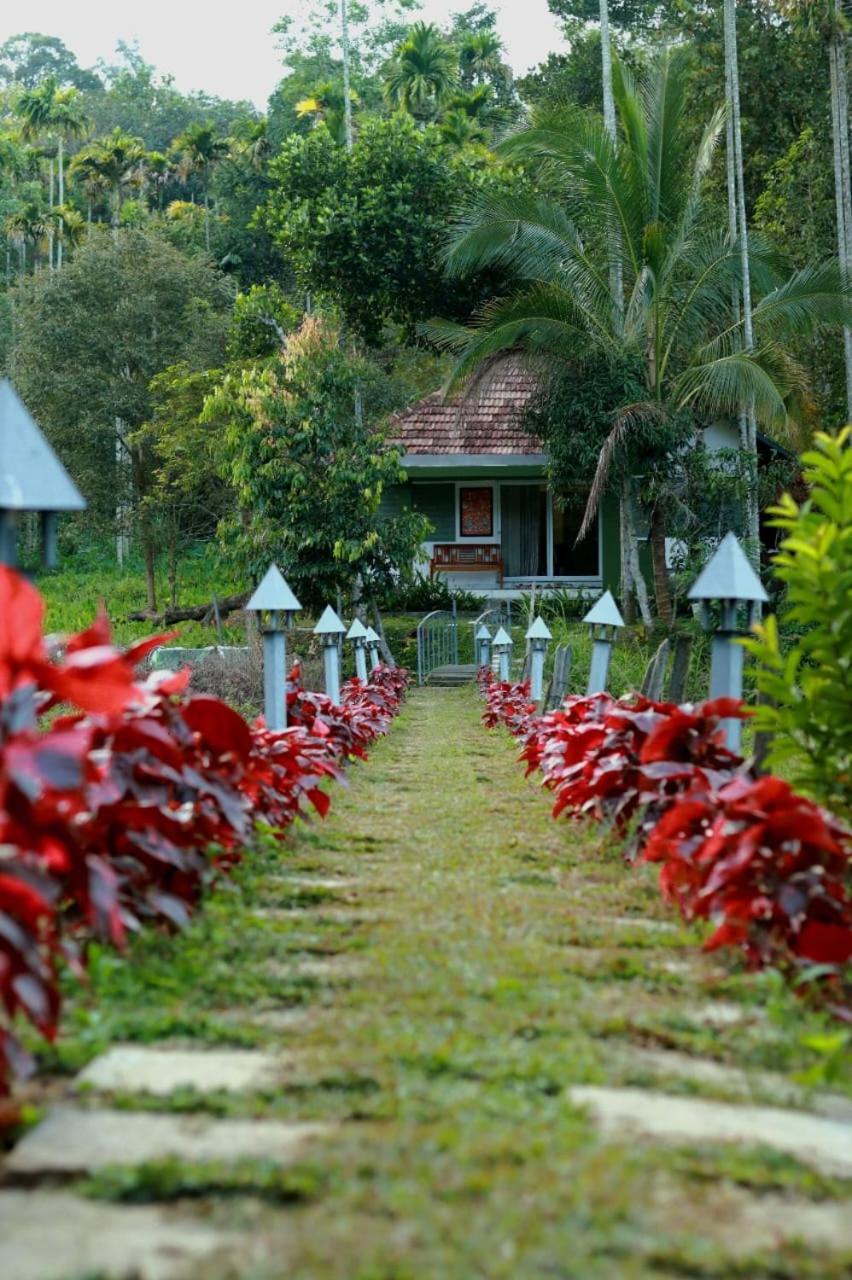 Ayurnest Pool Resort Wayanad Batheri Exterior photo
